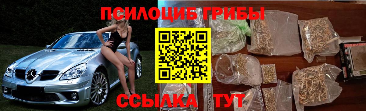 Псилоцибиновые грибы Magic Shrooms  Вход с VPN  Касимов 